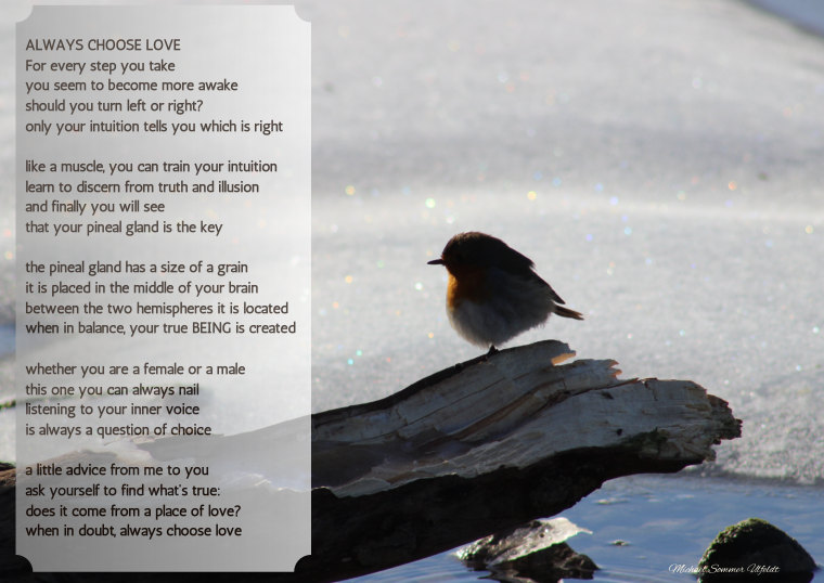 Always Choose Love – En lille fugl ved vandet og en invitation til at lytte indad og vælge kærligheden.