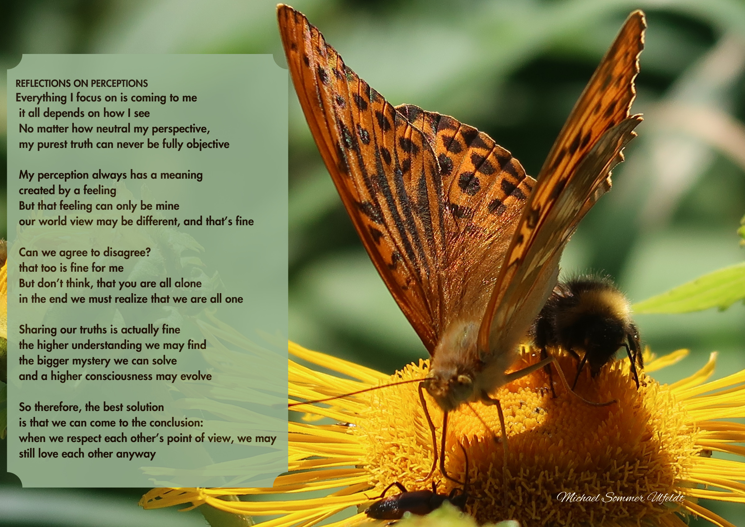 Reflections on Perceptions — A butterfly on a yellow flower and a poem about perspectives, differences and connection.