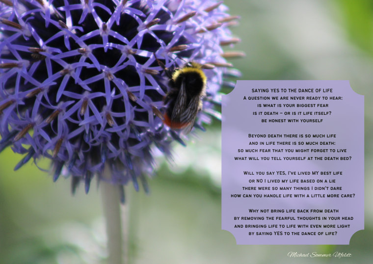 Saying Yes to the Dance of Life – En humlebi på en lilla blomst og ord om at sige ja til livet og turde leve det.