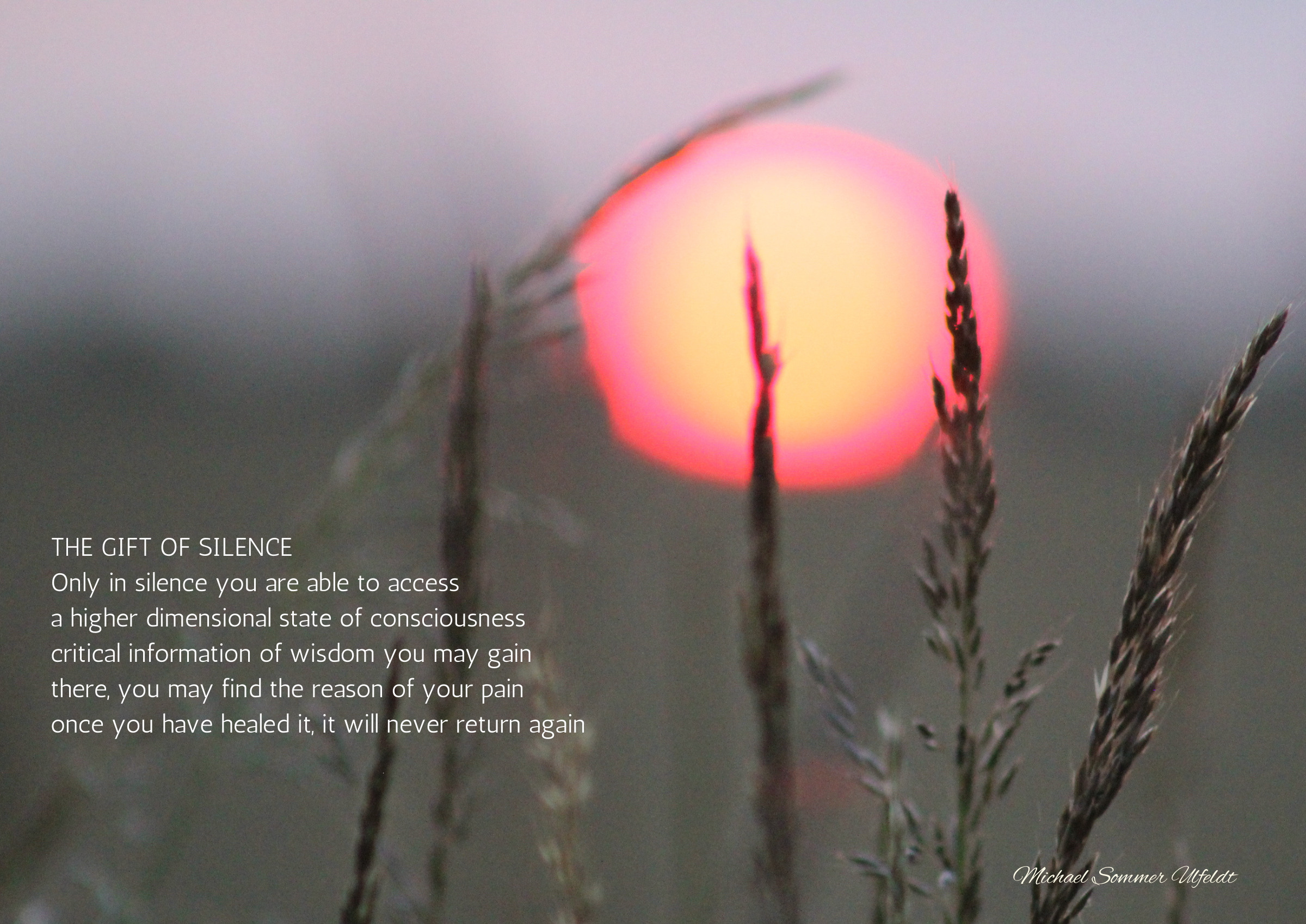 The Gift of Silence — The sun behind blades of grass and a short poem about silence and inner listening.