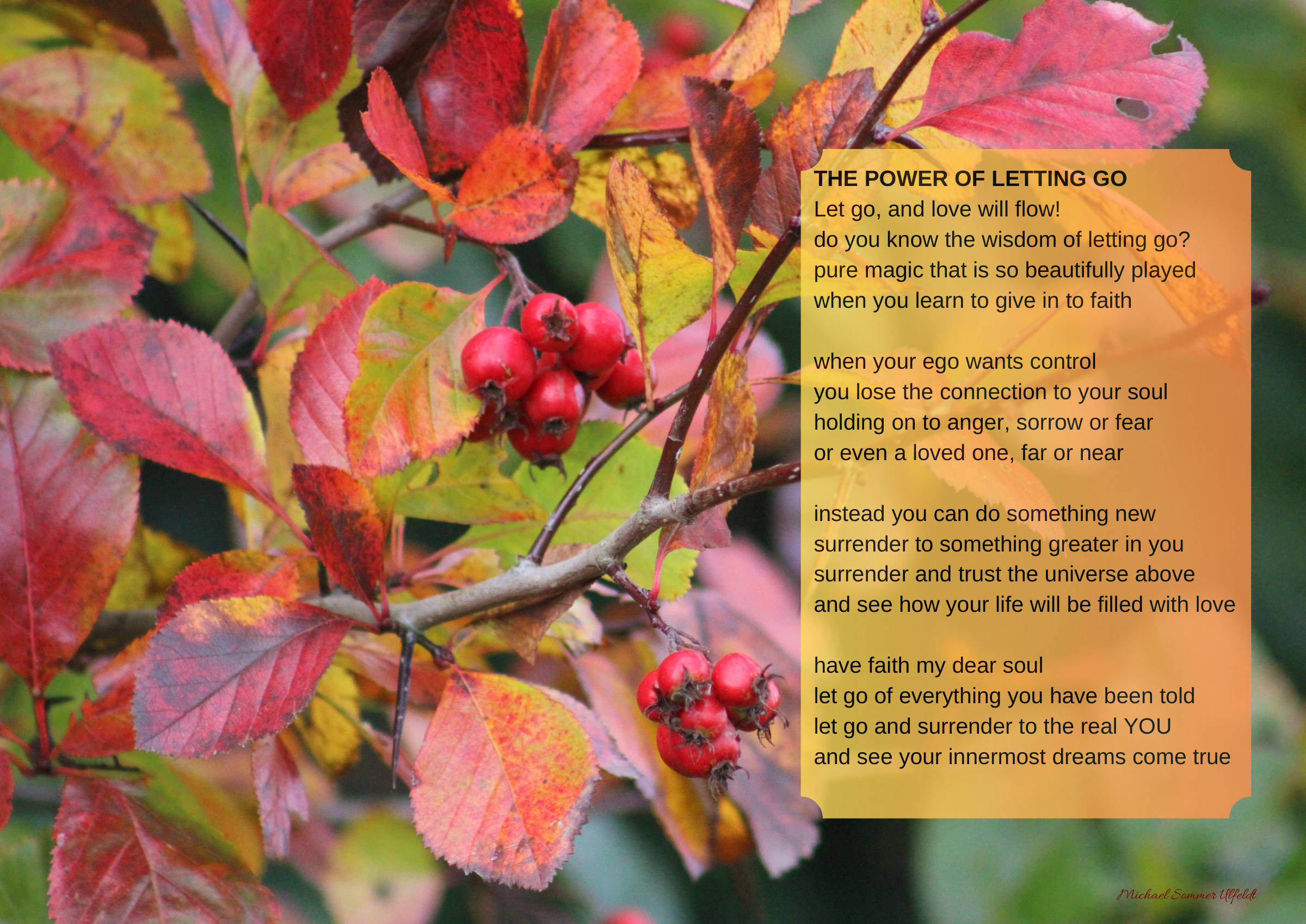 The Power of Letting Go — Red autumn leaves and a poem about trust, surrender and the art of letting go.